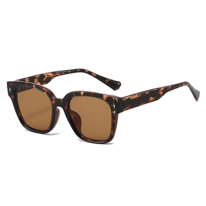Fashionable tortoiseshell sunglasses with brown lenses and star rivet accents in 45-degree view