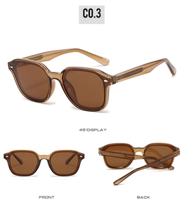 Detail view of rectangular tortoiseshell sunglasses with C0.3 polarized lenses and hinges