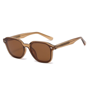 Classic rectangle polarized sunglasses with translucent brown frames and metal rivets