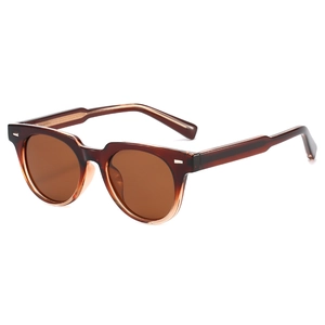 Retro polarisierte quadratische Sonnenbrille mit braunem Rahmen und Gläsern