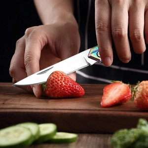 Tragbares Mini-Klappmesser mit Regenbogen-Titan-Finish für den Außeneinsatz