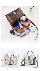 Detailed view of the mini square crossbody bag interior capacity and color options