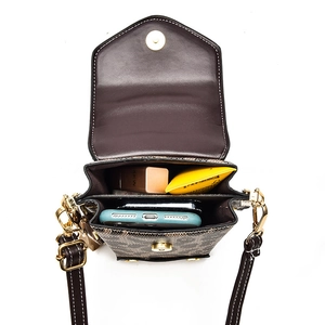 Vertical leopard print crossbody phone bag with dual compartments and gold hardware