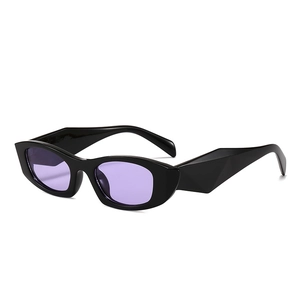 Lunettes de soleil cat-eye rétro avec monture noire épaisse et branches géométriques