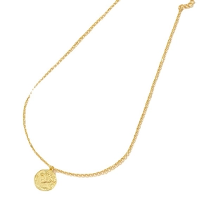 Collana dorata con ciondolo a moneta leone e catena veneziana stile vintage