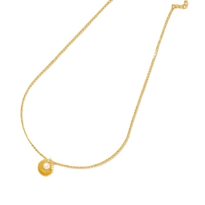 Collier à pendentif coquillage doré avec perle blanche sur fond minimaliste chic