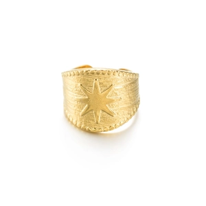 Adjustable golden stainless steel compass ring with brushed texture and star design
