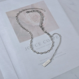 Silver stainless steel pig nose chain necklace with rectangular logo tag on a magazine