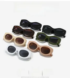 Detailed flat lay of trendy thick-frame cat-eye sunglasses in multiple stylish colors