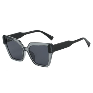 Lunettes de soleil carrées modernes avec monture grise transparente et verres foncés