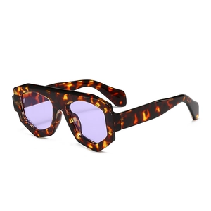 Lunettes de soleil géométriques rétro avec monture écaillée et verres violets clairs