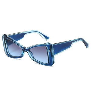 2025 trendy oversized geometric cat-eye sunglasses with blue transparent frames