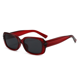Vintage Rectangle Sunglasses PC Frame AC Lens UV Protection Fashion Small Frame Eyewear For Women Outdoor Trendy