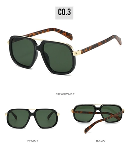 Detailed multi-angle views of large frame PC and metal sunglasses with leopard print temples
