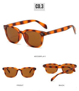 Three-angle view of tortoise shell sunglasses with dark brown lenses and metal dot accents