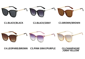 Showcase of six oversized sunglasses with metal chain temples in various trendy colors