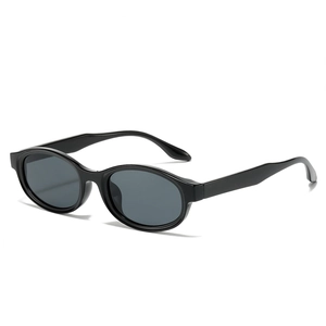 Retro Oval Sunglasses PC Frame UV400 Protection Vintage Hip Hop Street Style Trendy Eyewear For Men Women
