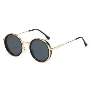 Retro Round Frame Sunglasses Polarized UV400 Protection PC Metal Frame Fashion Hip Hop Street Style Eyewear For Men Women