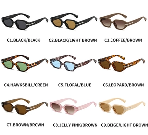 Multiple color options for retro irregular small frame sunglasses with silver temple accents