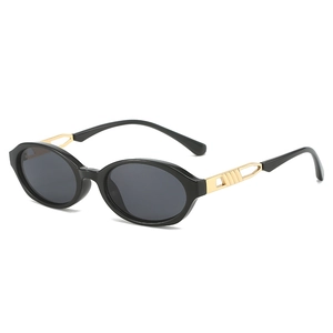 Retro Oval Sunglasses PC Frame With Metal Hollow Temples UV400 Protection Vintage Fashion Eyewear For Women Men