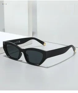 Detail of cat eye sunglasses showing CE UKCA certification and metal trim on temples