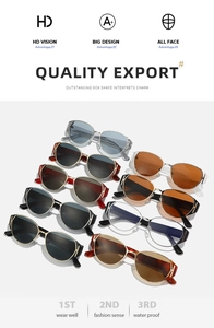 Multiple stylish oversized sunglasses in diverse colors with gold metal temple details