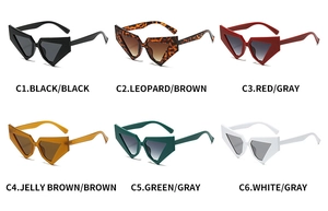 Detailed grid showing 2025 trendy geometric cat-eye sunglasses in six stylish colors