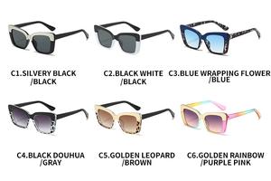 Catalogue détaillé de lunettes de soleil œil-de-chat avec six montures et verres dégradés