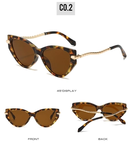 Detail view of retro cat-eye sunglasses with tortoiseshell frames and gold wavy temples