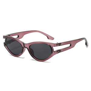 Modern oval sunglasses with translucent purple frames and hollow temple design for women