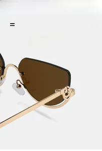 Detail shot of golden metal temple featuring cutout D-shaped hinge on brown sunglasses
