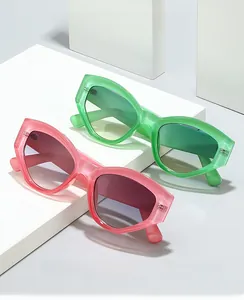 Detailed view of 2024 cat-eye glasses with pink and green frames on geometric blocks