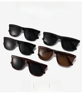 Détails des lunettes de soleil à monture TR polarisées en divers coloris classiques