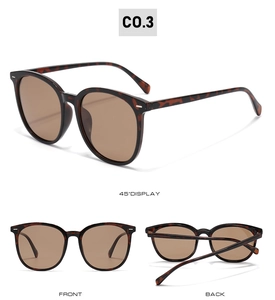 Three views of tortoise frame polarized sunglasses with brown lenses and metal rivet detail