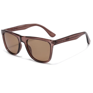 Lunettes de soleil polarisées TR avec monture marron transparent et verres dégradés