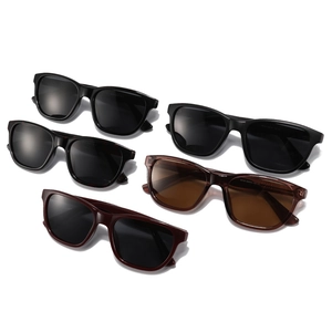 Retro polarized sunglasses in assorted colors including black, tortoiseshell and amber