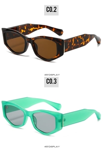 Vue détaillée des lunettes de soleil œil-de-chat écaille et vert translucide, styles C0.2 et C0.3