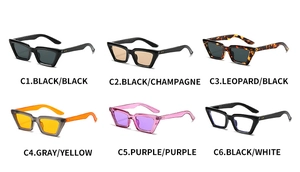 Grille détaillée de lunettes œil-de-chat montrant six couleurs de montures et verres tendance