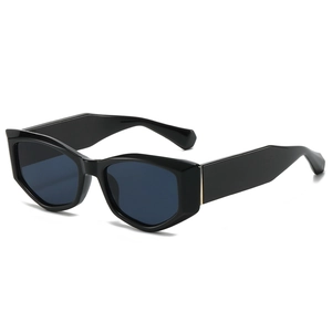 Lunettes De Soleil Femme Forme Géométrique Irrégulière Monture PC Œil De Chat Rétro Tendance Protection UV400 Mode
