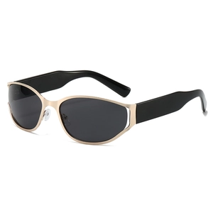 Retro Oval Frame Sunglasses Metal And PC UV400 Protection Futuristic Cyberpunk Y2K Millennium Style Fashion Accessories