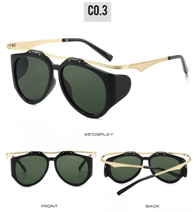 Detail view of oval sunglasses with black frames, gold metal temples and side shields