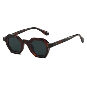 Retro tortoise octagon sunglasses with dark grey lenses and gold metal rivet details