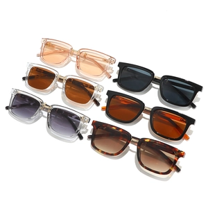Square fashion sunglasses set in six colors including tortoiseshell and matte black lens