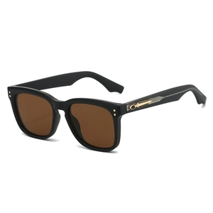 Lunettes de soleil carrées noires avec verres bruns et détails dorés élégants
