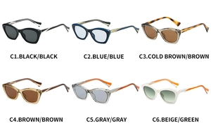 Cat eye sunglasses collection in six colors with transparent frames and metal details