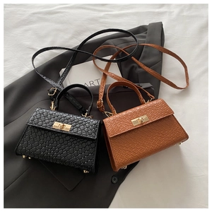 Détail de mini sacs carrés à motif crocodile noir et marron avec fermoirs rotatifs dorés