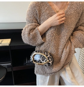 Mini leopard print crossbody bag with gold metallic handle and chain strap on a model