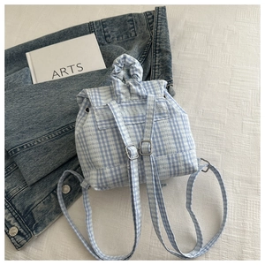 Detail of adjustable metal buckles and blue gingham straps on a casual backpack