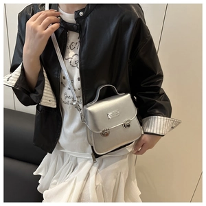 Detail of silver metallic handbag with dual round snap locks and rectangular nameplate