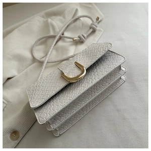 Close-up of woven texture handbag with golden D-ring buckle and layered accordion structure